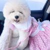 Polka Dot and Lace Dog Dress Set with Leash
